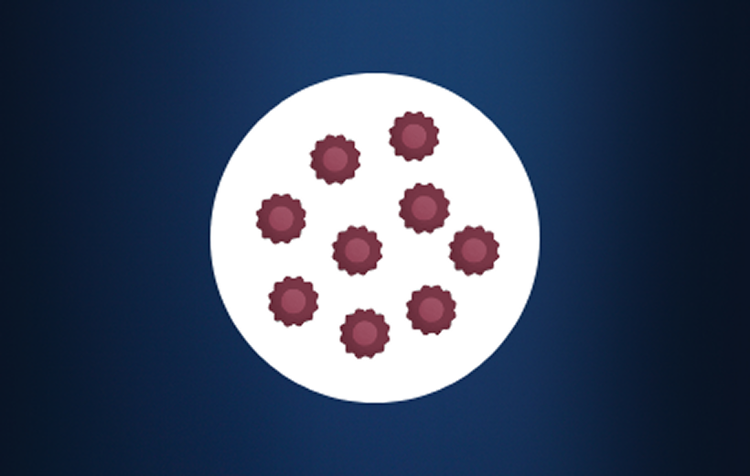 去勢抵抗性前立腺がん（CRPC）について